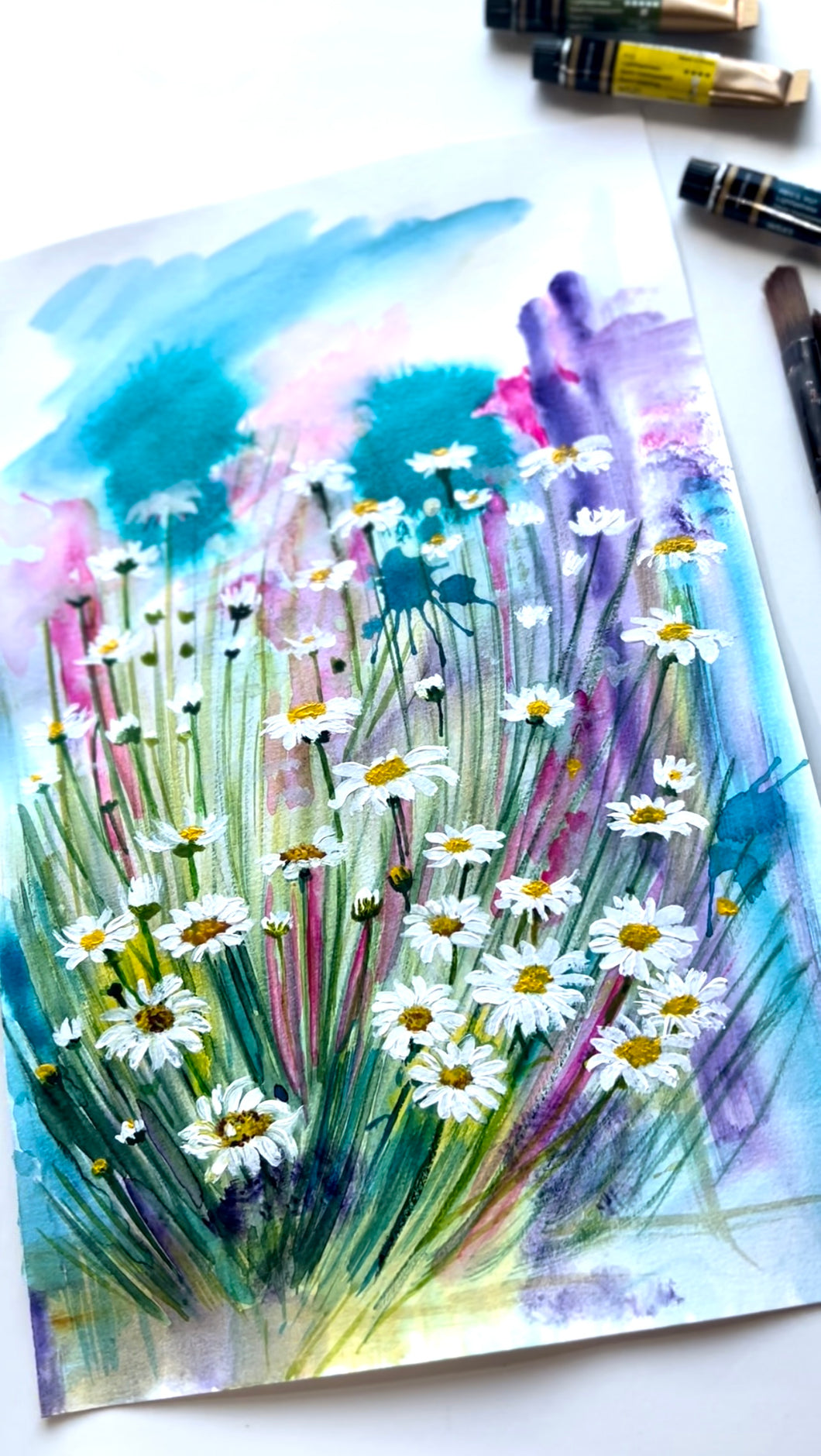 Summer Blooms -Daisies- Art print